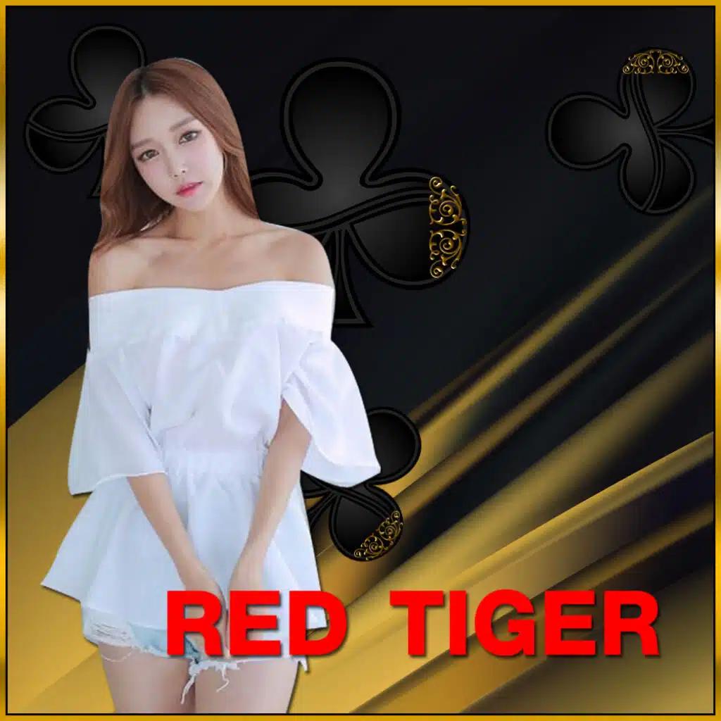 mc4slot คาสิโนออนไลน์ครบวงจร โปรโมชั่นแรง เล่นได้ไม่มีสะดุด