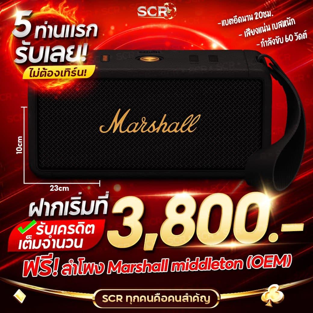 เวฟไทเกอร์ คาสิโนสด ระบบออโต้ มาตรฐานระดับโลกอันดับหนึ่ง