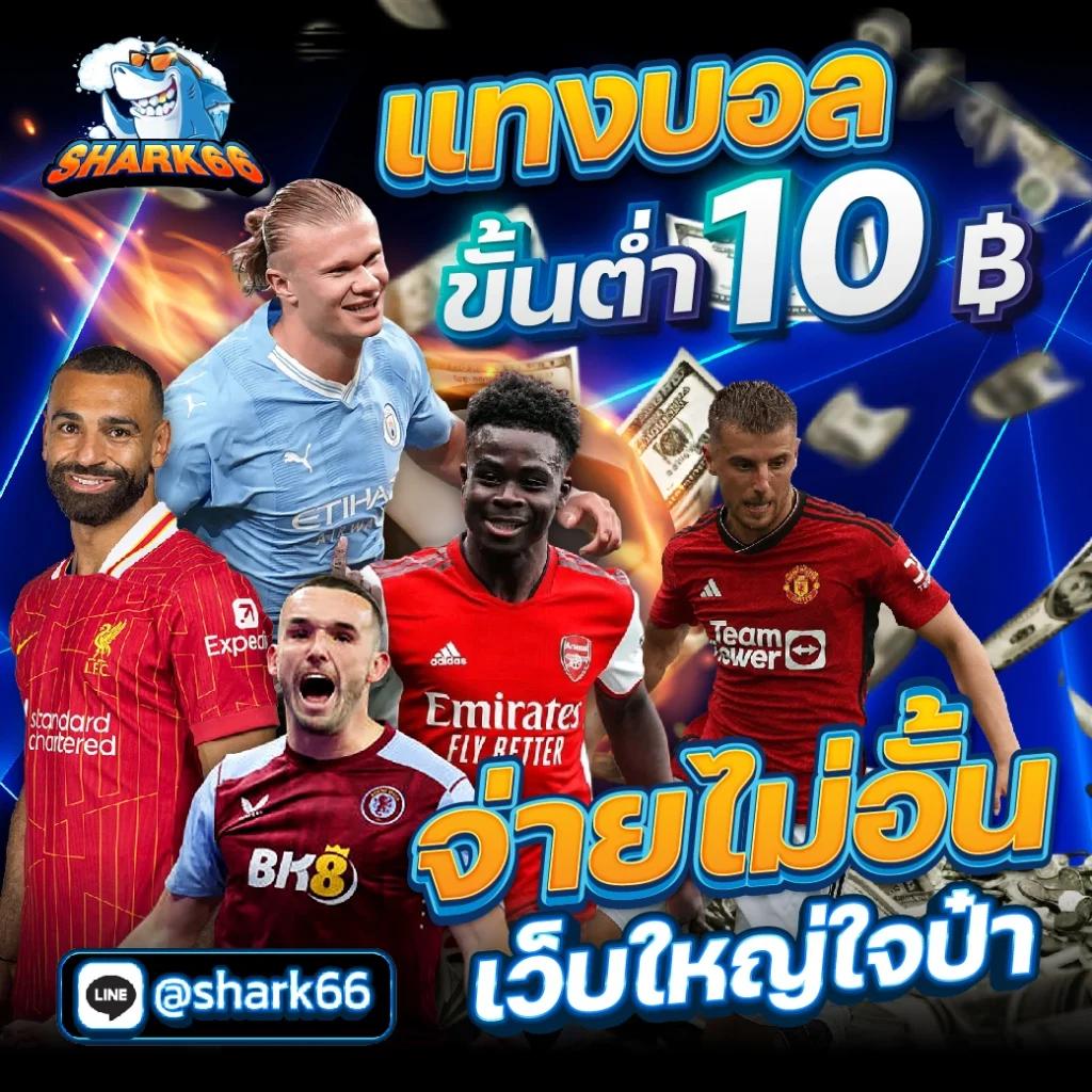 แพนด้าหวย คาสิโนออนไลน์ รวมเกมยอดนิยม อันดับ 1 ของไทย
